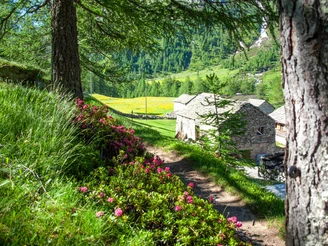Stockalperweg / ViaStockalper