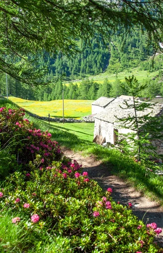 Stockalperweg / ViaStockalper