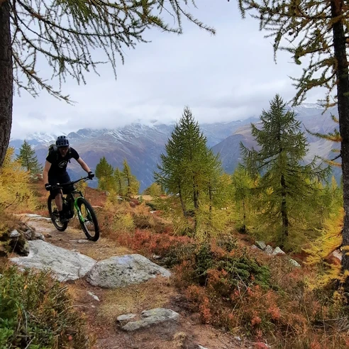 Indian Summer mit gelben Lärchen auf dem Moosmattentrail