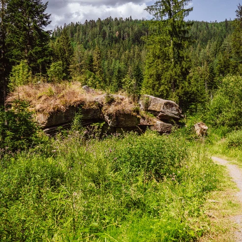 Pudelstein in Tonbach