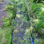 Alter Gleisweg