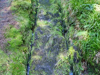 Alter Gleisweg