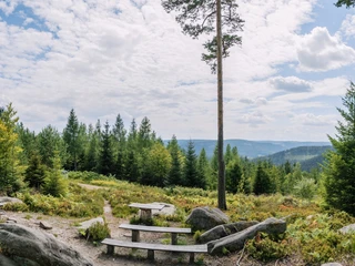 Aussicht am Priorstein