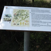 Infotafel
