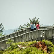 Aussichtsplattform Steinmäuerle