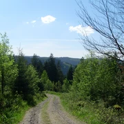 Ausblick oberhalb der Birkleshütte Richtung Stöckerkopf