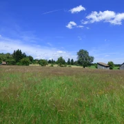 Bärenwiesen Freudenstadt