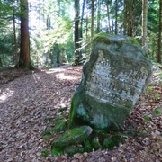 Der Grenzweg an der Buchwaldhöhe