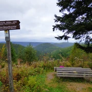 Panoramablick ins Bösellbachtal Richtung Mitteltal