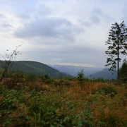 Ausblick vom Westweg ins Renchtal