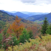 Ausblick ins Renchtal