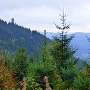 Blick zum Buchkopfturm