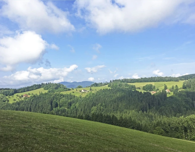 Aussicht über den Schwarzwald