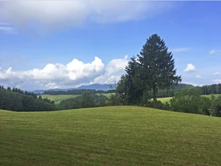 Aussicht über den Schwarzwald