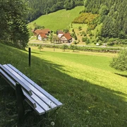 Aussichtsbank Wolftal - Oberwolfach