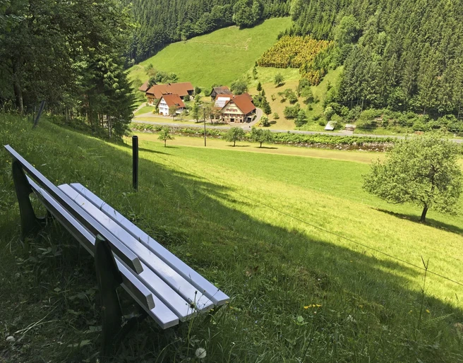 Aussichtsbank Wolftal - Oberwolfach