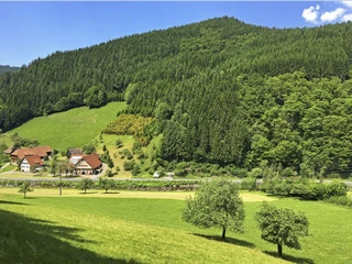 Aussichtsbank Wolftal - Oberwolfach