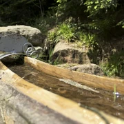 Brunnen an der Mühle Bad Rippoldsau