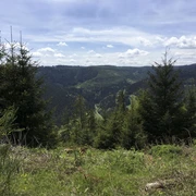 Aussicht Heimenhöhe ins Wolftal