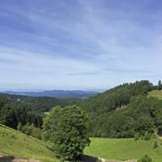 Aussicht am Harkhof in Richtung Vogesen