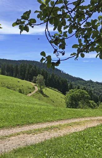 Aussicht am Harkhof