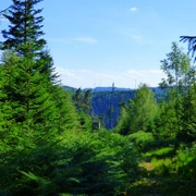 Ausblick am Wegweiser "Bei der Hahnenhütte"