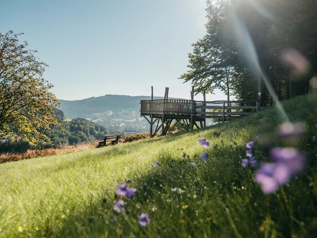 Allmandblick