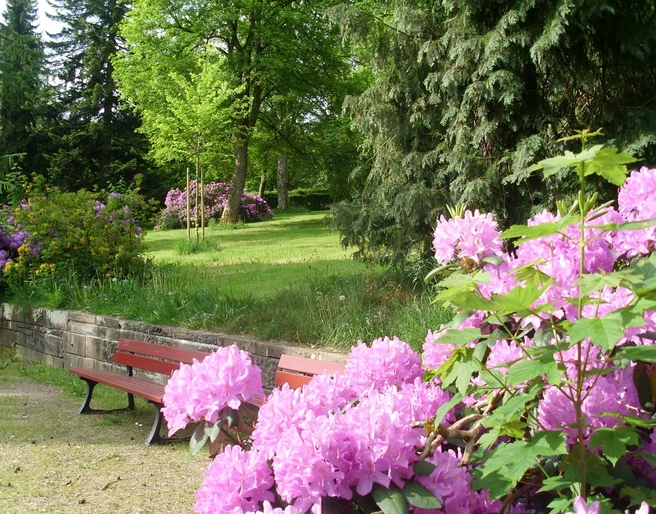 Der Park Courbevoie in Freudenstadt