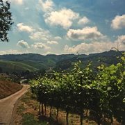 Weg zur Kapelle St. Wendelin