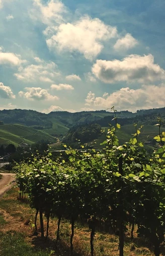 Weg zur Kapelle St. Wendelin