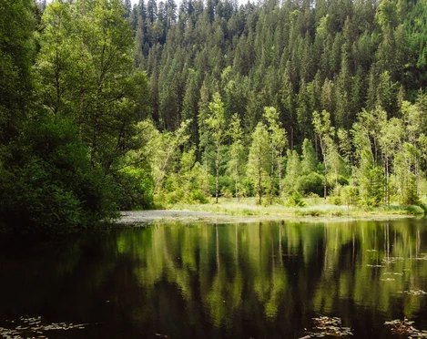 Ellbachsee in Mitteltal