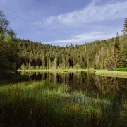 Buhlbachsee in Obertal