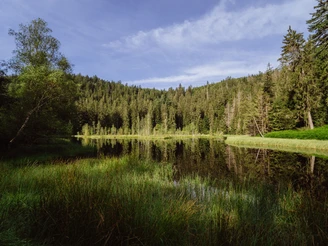 Buhlbachsee in Obertal