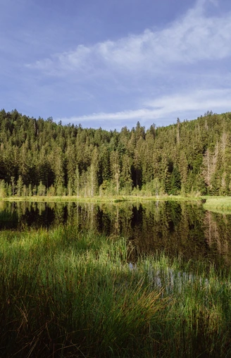 Buhlbachsee in Obertal