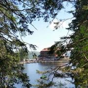 Sagenumwobener Mummelsee - Blick zum Hotel und See durch Bäume