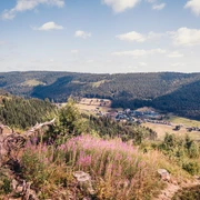 Petermännle