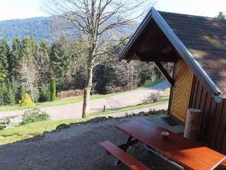 Ausblick am Almpfadhüttle am Fuchsmichelhof auf Wälder