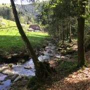 Guck a mol Wegle in Oberwolfach