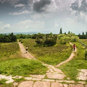 Zwei Personen wandern auf dem Schliffkopfgipfel