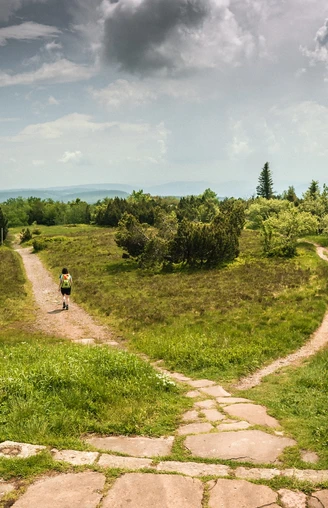 Zwei Personen wandern auf dem Schliffkopfgipfel