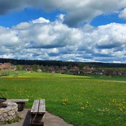 Grillstelle Rappenhütte bei Igelsberg