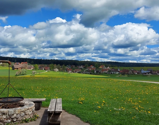 Grillstelle Rappenhütte bei Igelsberg