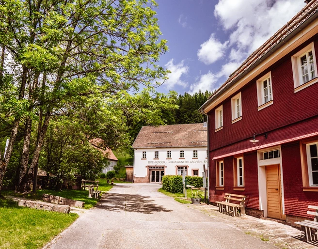 Kulturpark Glashütte Buhlbach