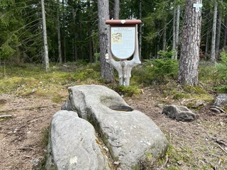 Gipfeldose am Petermännle