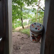 Gipfeldose an der Sommerseite