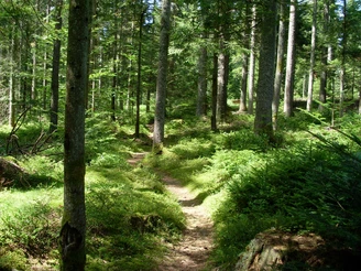 Baldenhofer Graben
