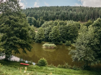 Teich an der Fischerhütte in Friedrichstal