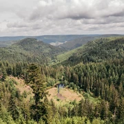 Blick auf den Ellbachsee von der Aussichtsplattform Ellbachseeblick