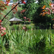 Naturschutzgebiet Heimbachaue