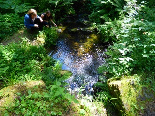 Das Lauterbächle in Höhe Sauteichhütte